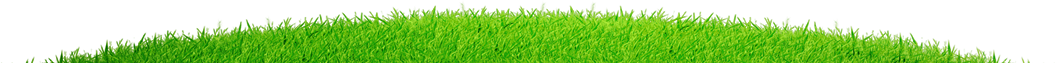 top grass